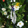 Flowers 001