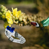 Flowers 003