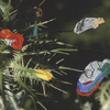 Flowers 006