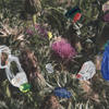 Flowers 012