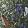 Flowers 014