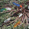 Flowers 015