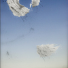 New Prints 001