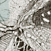 New Prints 001