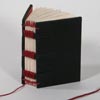 El Libro Micro