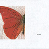 The Trudge Of Insects 007