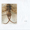 The Trudge Of Insects 009