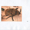 The Trudge Of Insects 010