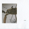 The Trudge Of Insects 013