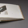 The Trudge Of Insects, binding 001