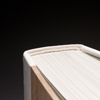 The Trudge Of Insects, binding 003